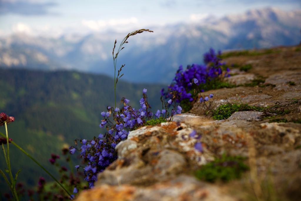 Landhotel Gruben Oberstdorf Ngoại thất bức ảnh
